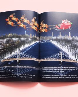 Spinach at Christmas – Children’s book